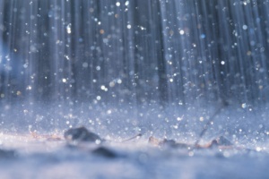 Rain (from www.eontarionow.com)