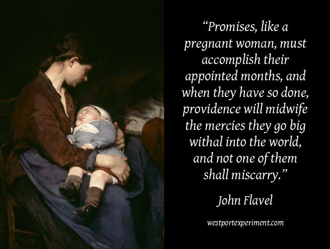 Flavel, Promises as a pregnant woman